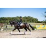 Equilibrium Equestrian Equilibrium Stretch And Flex Flatwork Wraps