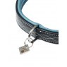 LeMieux LeMieux Windsor Dog Collar - Xs/s