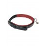 LeMieux Windsor Dog Collar -  M/l/xl