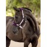 LeMieux LeMieux Vogue Headcollar - Fig/Marine