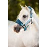 LeMieux LeMieux Vogue Headcollar - Fig/Marine