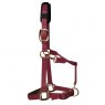 KM Elite Km Elite Padded Headcollar