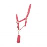 Hy Equestrian Hy Rose Gold Headcollar And Lead Rope