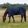 Gallop Gallop Lite-weight Trojan Standard Neck Turnout Rug