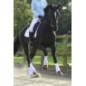 Equilibrium Equestrian Equilibrium Stretch And Flex Training Wrap