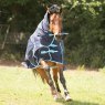 Gallop Gallop 350 Heavy Combo Turnout Rug