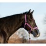 KM Elite Thinline Flexible Filly Grazing Muzzle