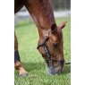 KM Elite Thinline Flexible Filly Grazing Muzzle