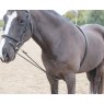 Shires Equestrian Shires Soft Lunge Aid