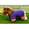 Crafty Ponies Crafty Ponies Foal Rug