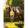 LeMieux LeMieux Naomi Pull On Breeches