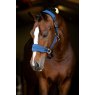 LeMieux LeMieux AW23 Vogue Headcollar and Leadrope Set