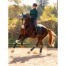 LeMieux LeMieux Classic Dressage Square