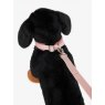 LeMieux Lemieux Puppy Dog Collar & Lead