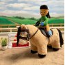 Crafty Ponies Crafty Ponies Soft Toy Pony Exmoor