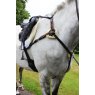 Gallop Gallop Leather 5 Point Breastplate