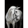 Rambo Micklem Original Competition Bridle