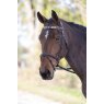 Shires Equestrian SHIRES BLENHEIM LEATHER POLO BROWBAND
