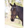 Shires Equestrian Shires Blenheim Leather Polo Browband