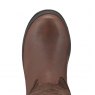 Ariat Ariat Women's Windermere Tall Boots