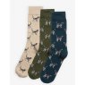 Barbour Barbour Pointer Dog Sock Gift Set