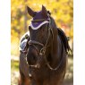 LeMieux Lemieux Loire Fly Hood Juniper