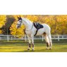 LeMieux Lemieux Suede Close Contact Square