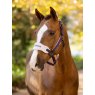 LeMieux Lemiuex Vogue Headcollar & Leadrope