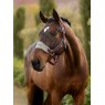 LeMieux Lemiuex Vogue Headcollar & Leadrope