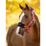 LeMieux Lemiuex Vogue Headcollar & Leadrope