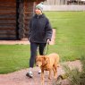 Shires Equestrian Shires Aubrion React Sherpa Jacket