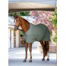 LeMieux Lemieux Arika Monogram Fleece Rug , Rosemary