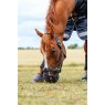 LeMieux Noma Grazing Muzzle