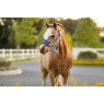 LeMieux LeMieux Mini Vogue Headcollar & Leadrope