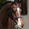 LeMieux Stitched Hunter Bridle with Laced Reins