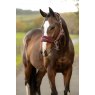 LeMieux LeMieux Breakaway Vogue Headcollar & Leadrope