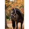 LeMieux LeMieux Essence Headcollar