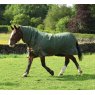 Perf Equine   PERF EQUINE 100 COMBO OLIVE